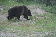 146 - Banff,Lake Louise,Morraine Lake  - IMG_0830